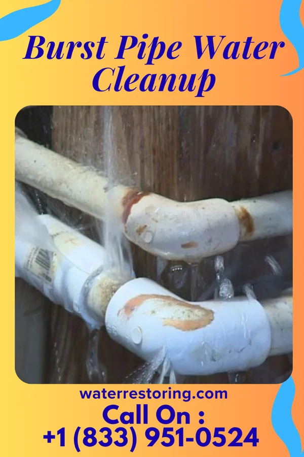 Burst Pipe Water Cleanup in Rupert, ID