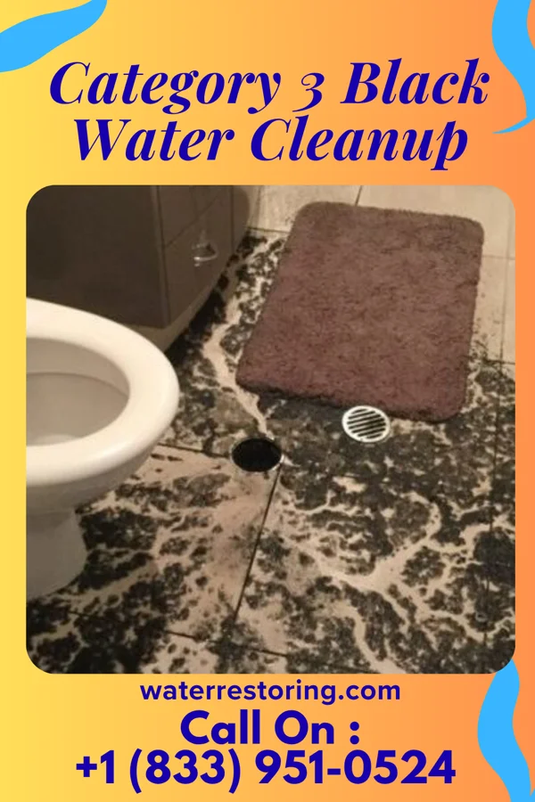 Category 3 Black Water Cleanup in Rupert, ID