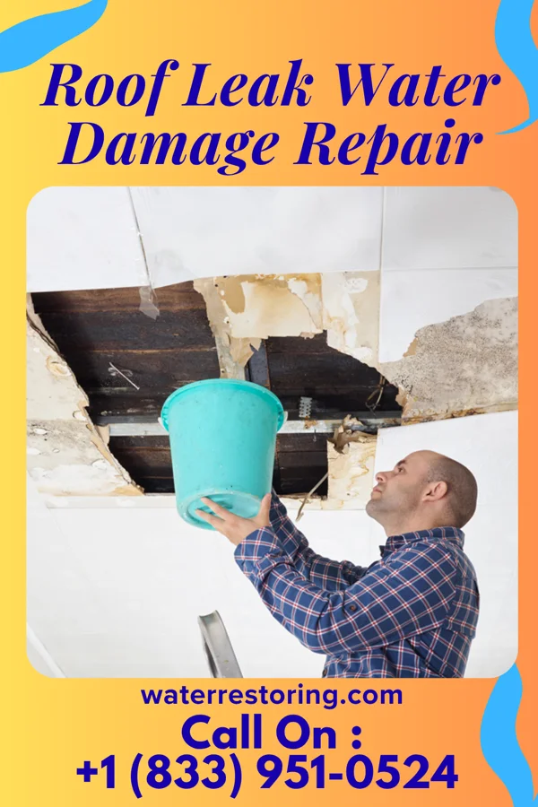 Roof Leak Water Damage Repair in Rupert, ID
